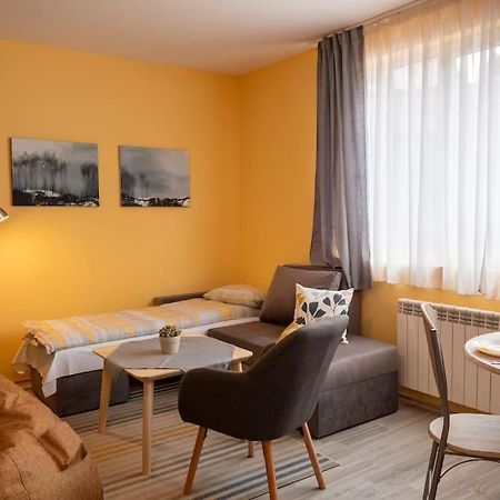The Place - Studio Borovets-Iglika 2 Dış mekan fotoğraf