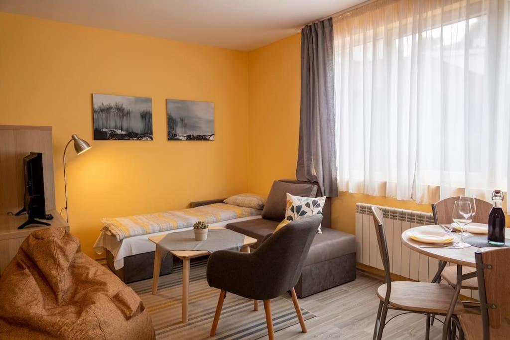 The Place - Studio Borovets-Iglika 2 Dış mekan fotoğraf